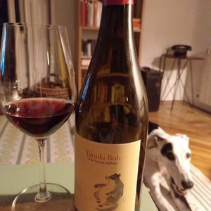 Cuatro Kilos Vinicola - 4 Kilos Vinícola - Tanuki Bob