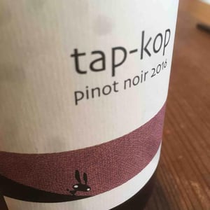 Tap-Kop Pinot Noir (Kondo Vineyard) - Kurisawa Wines - Kondo Vineyard & Nakazawa Vineyard - kazuyuki-yukiko-nakazawa-ryosuke-takumi-kondo