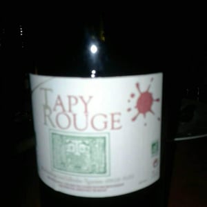 Tapy Rouge - Domaine Latapy - irene-guilhendou