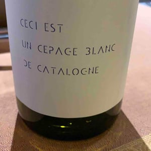 Ceci Est Un Cepage Blanc De Catalogne - Ronald Joachin - ronald-joachin -2019