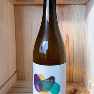 Taro Frias - Taro Vinícola - pablo-matallana