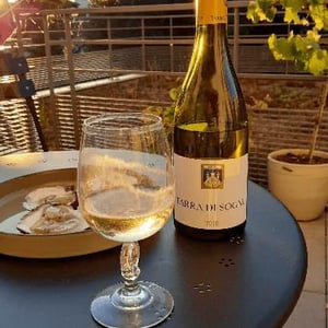 Tarra Di Sognu (X Patrick Fioramonti) - Clos Canarelli - yves-canarelli