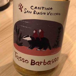 Tasso barbasso - Faenza - Lucia Ziniti & Andrea Balducci -2021