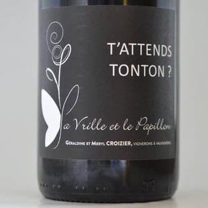 T'attends Tonton? - La Vrille et le Papillon - Géraldine & Méryl Croizier -2012