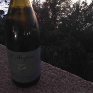 Tavel - L'Anglore - eric-thibault-joris-pfifferling