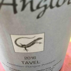 L'Anglore - Éric, Thibault & Joris Pfifferling - Tavel