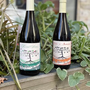 Tchin à Jeannette - Les Vignes de Gaïa - philippe-blatier