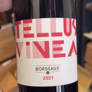 Tellus Vinea - Vignobles Pueyo - christophe-pueyo