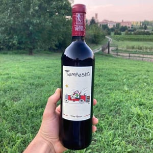Tempesta - Terre di Pietra - Anna, Alice & Cristiano Saletti 