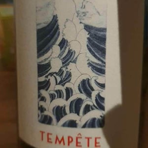 Château Lestignac - Camille & Mathias Marquet - Tempête