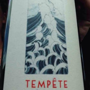 Château Lestignac - Camille & Mathias Marquet - Tempête