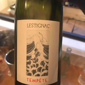 Château Lestignac - Camille & Mathias Marquet - Tempête