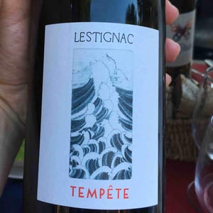 Tempête - Château Lestignac - Camille & Mathias Marquet 