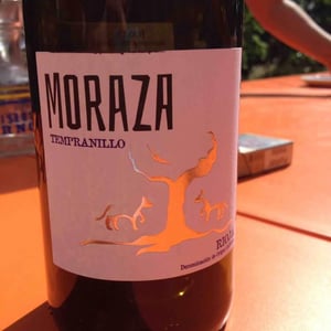 Tempranillo - Bodegas Moraza - Janire Moraza and Patricio Brongo 