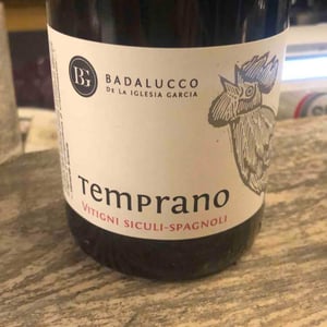 Temprano - Dos Tierras Badalucco - Pierpaolo Badalucco & Beatriz de la Iglesia García 