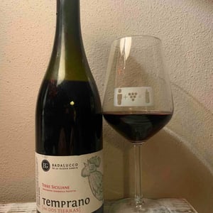 Temprano - Dos Tierras Badalucco - Pierpaolo Badalucco & Beatriz de la Iglesia García 