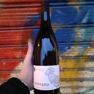 Temprano - Dos Tierras Badalucco - pierpaolo-badalucco-beatriz-de-la-iglesia-garcia