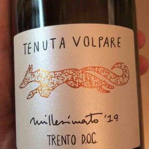Tenuta Volpare - Tenuta Volpare - Tenuta Volpare -2019