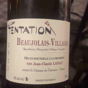 Tentation - Jean-Claude Lapalu - jean-claude-lapalu