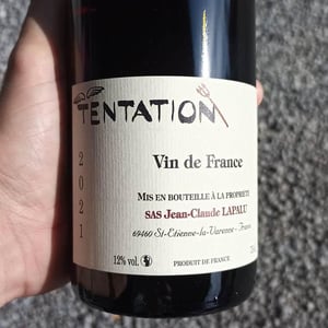 Tentation - Jean-Claude Lapalu - jean-claude-lapalu