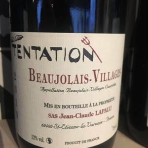 Tentation - Jean-Claude Lapalu - jean-claude-lapalu