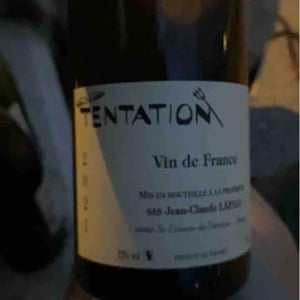 Tentation - Jean-Claude Lapalu - jean-claude-lapalu