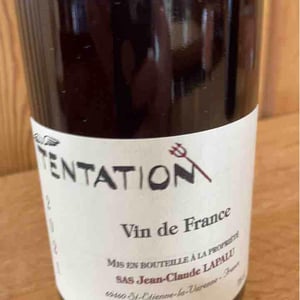 Tentation - Jean-Claude Lapalu - jean-claude-lapalu