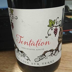 Tentation - Un Coin Sur Terre - edouard-sentex
