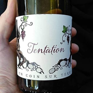 Tentation - Un Coin Sur Terre - edouard-sentex