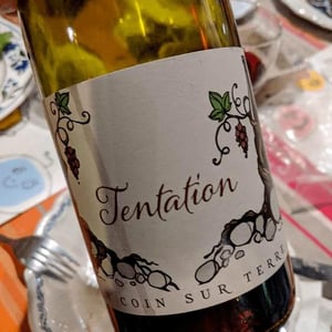Tentation - Un Coin Sur Terre - Edouard Sentex 