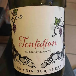 Tentation - Un Coin Sur Terre - edouard-sentex