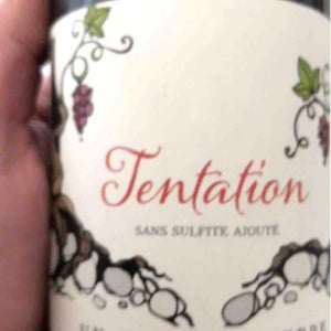 Tentation - Un Coin Sur Terre - edouard-sentex