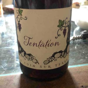 Tentation - Un Coin Sur Terre - edouard-sentex