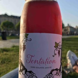 Tentation Rosé - Un Coin Sur Terre - edouard-sentex