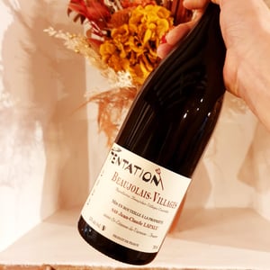 Tentation syrah - Jean-Claude Lapalu - jean-claude-lapalu -2021