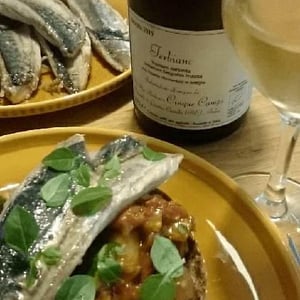Terbianc - Cinque Campi - vanni-nizzoli