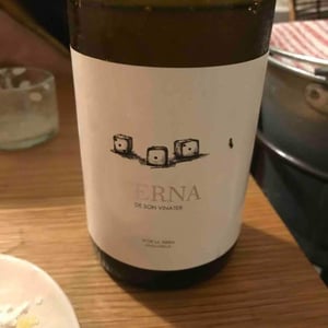 Terna De Son Vinater Blanc - Terna De Son Vinater - terna-de-son-vinater