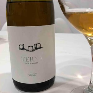 Terna - Mesquida Mora - jaume-mesquida-mora -2021