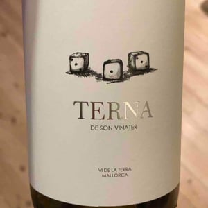 Terna 2019