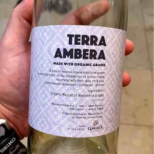Terra Ambera - Garalis Winery - manolis-garalis
