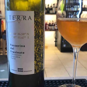 Terra Bianco - Agricola Agricola Macciocca - mario-macciocca