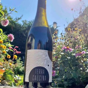 Terra Caucina - Clos le Joncal - famille-tatard -2020