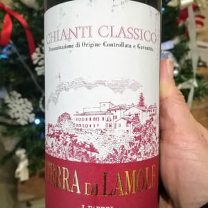 Terra di Lamole - I Fabbri - susanna-grassi