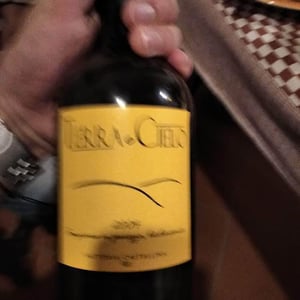 Terra e Cielo (old label) - Fattoria Castellina - Francesco Montomoli 