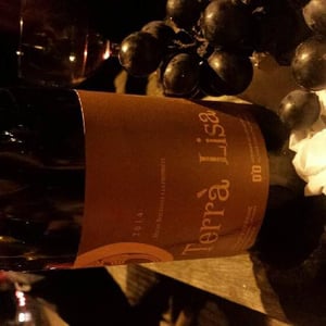 Terrà Lisa - Domaine de Clairac/Domaine d'O - deborah-olivier-knowland