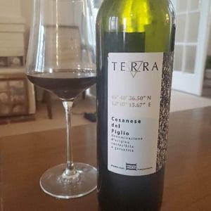 Terra Rosso - Agricola Agricola Macciocca - Mario Macciocca 