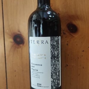 Terra Rosso - Agricola Agricola Macciocca - Mario Macciocca 