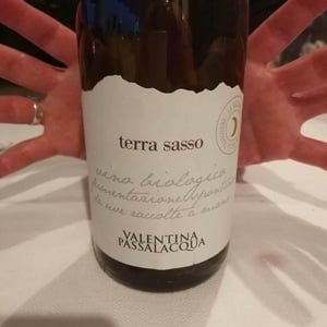 Terra Sasso - Valentina Passalacqua - Valentina Passalacqua 