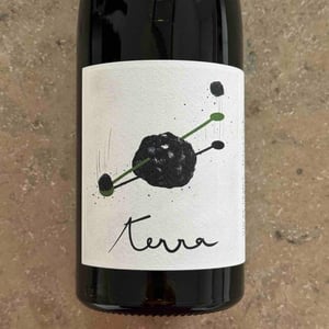 Terra - Thibaud Capellaro - Thibaud Capellaro -2019