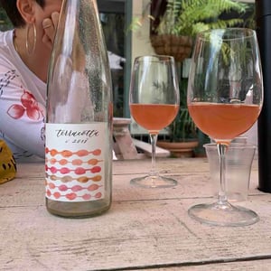 terracotta - maryland - lifestas-vineyard